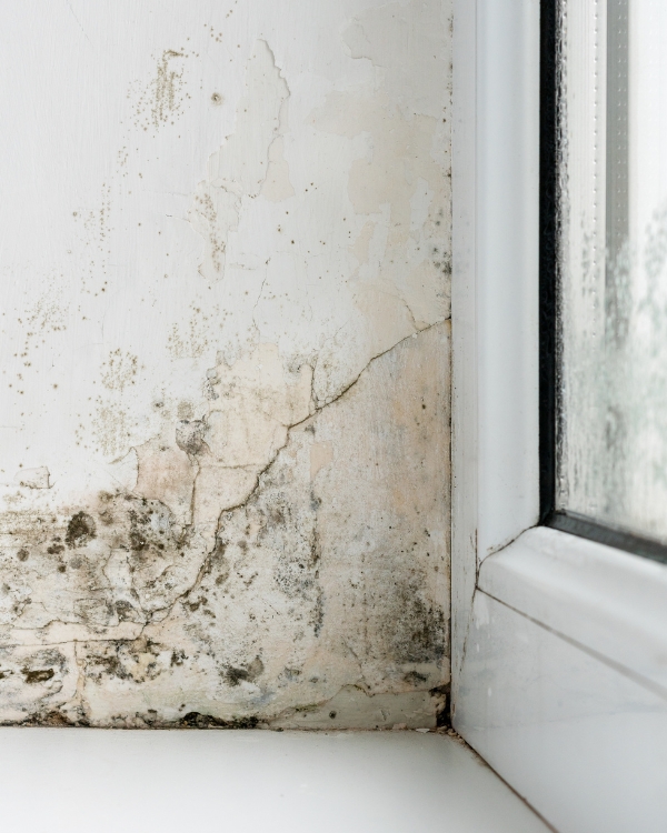 pintura de interiores madrid